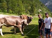 Bella escursione boschiva ai piedi del Monte Rosa in Val Quarazza, il 4 luglio 2010 - FOTOGALLERY